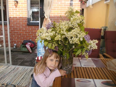 Image Thumbnail