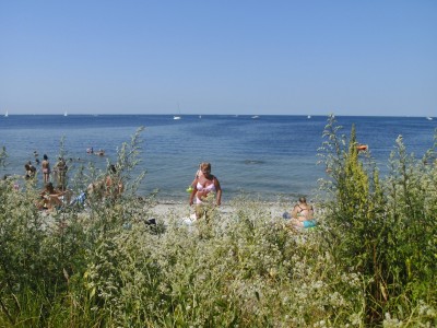 Image Thumbnail