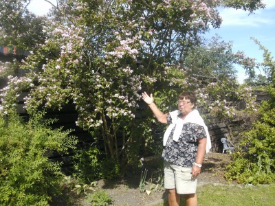 Image Thumbnail