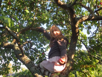 Image Thumbnail