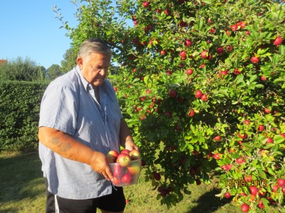 Image Thumbnail