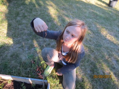 Image Thumbnail