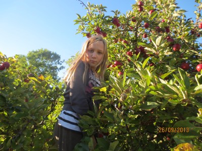 Image Thumbnail