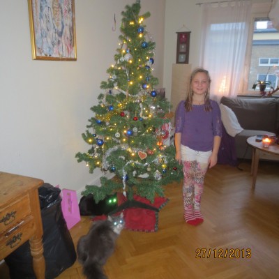 Image Thumbnail