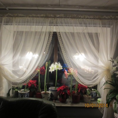 Image Thumbnail
