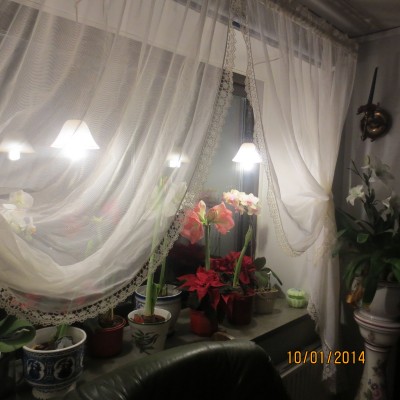 Image Thumbnail