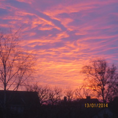 Image Thumbnail