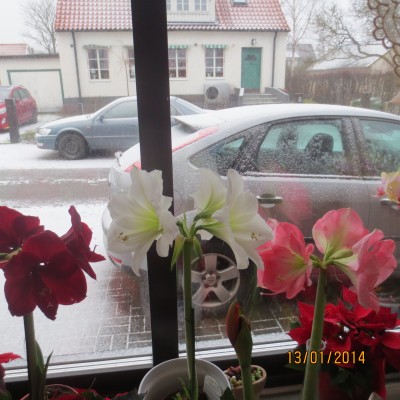 Image Thumbnail