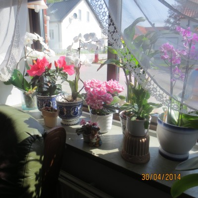 Image Thumbnail
