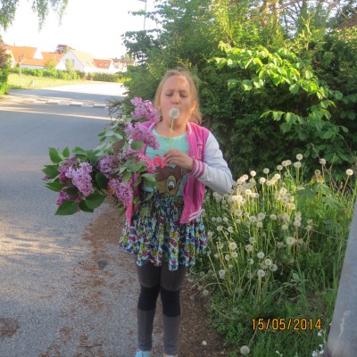 Image Thumbnail