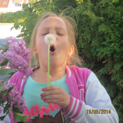 Image Thumbnail