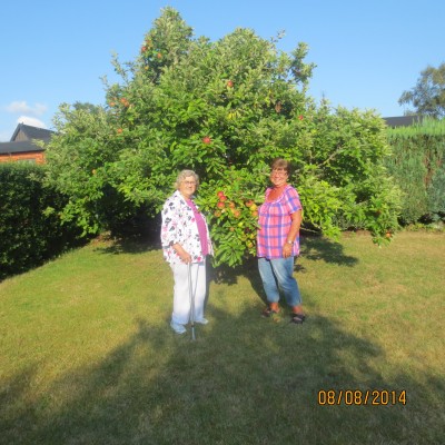 Image Thumbnail