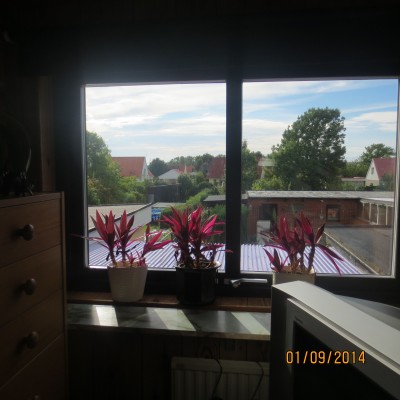 Image Thumbnail