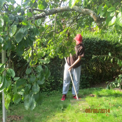 Image Thumbnail