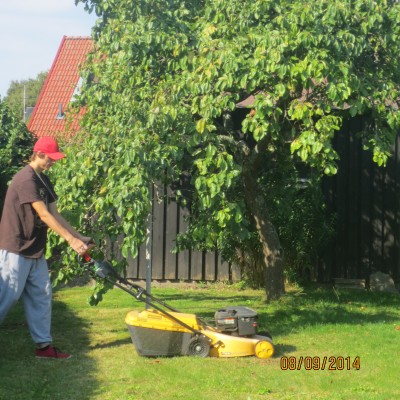 Image Thumbnail