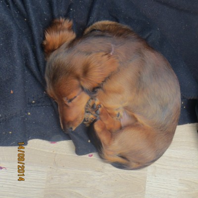 Image Thumbnail